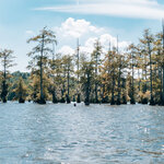 Black Bayou Lake_Robert Nance Park